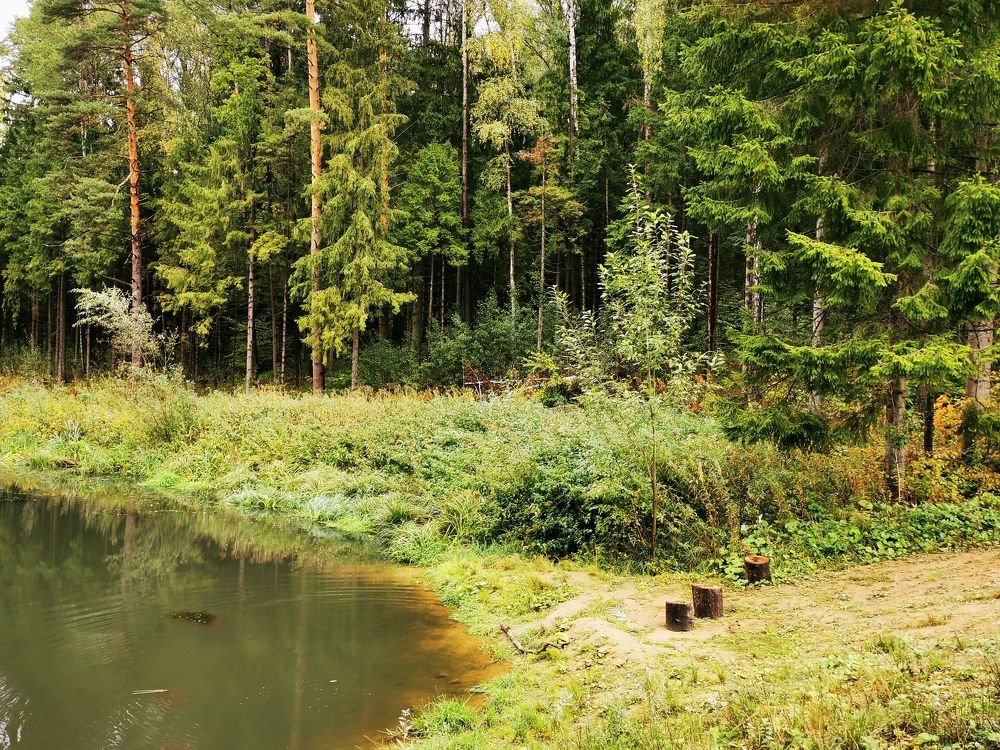 Photograph by Анна