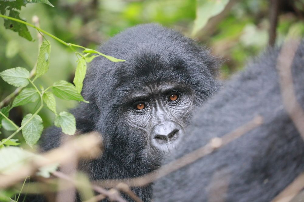 Photograph by MAKSIM MARKOV