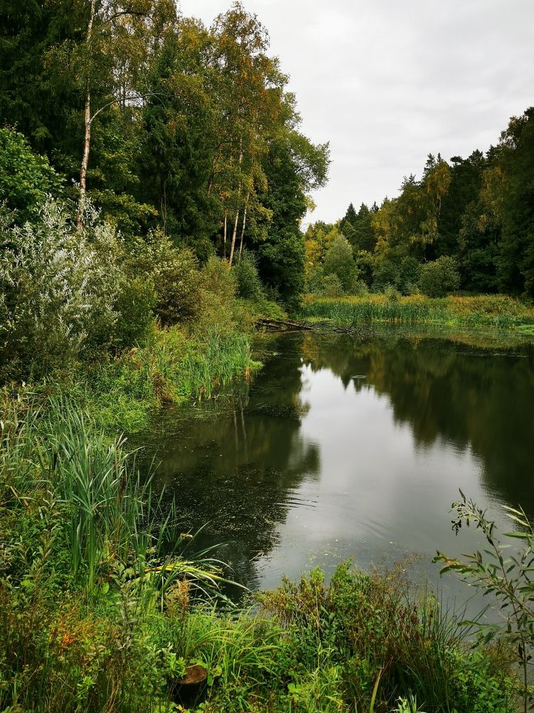 Photograph by Анна