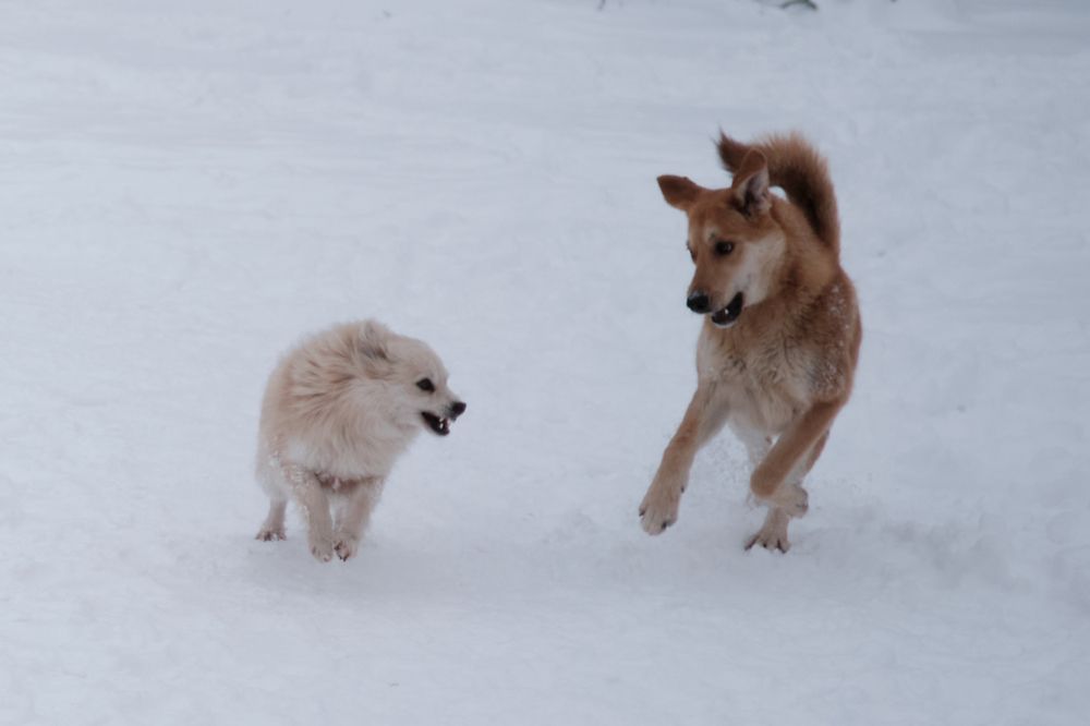 Photograph by Михаил Нестеренко