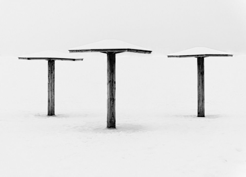 Photograph by Александр Соколов