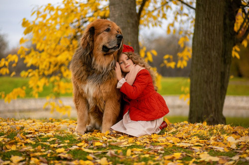 Photograph by Тамара Лисицына