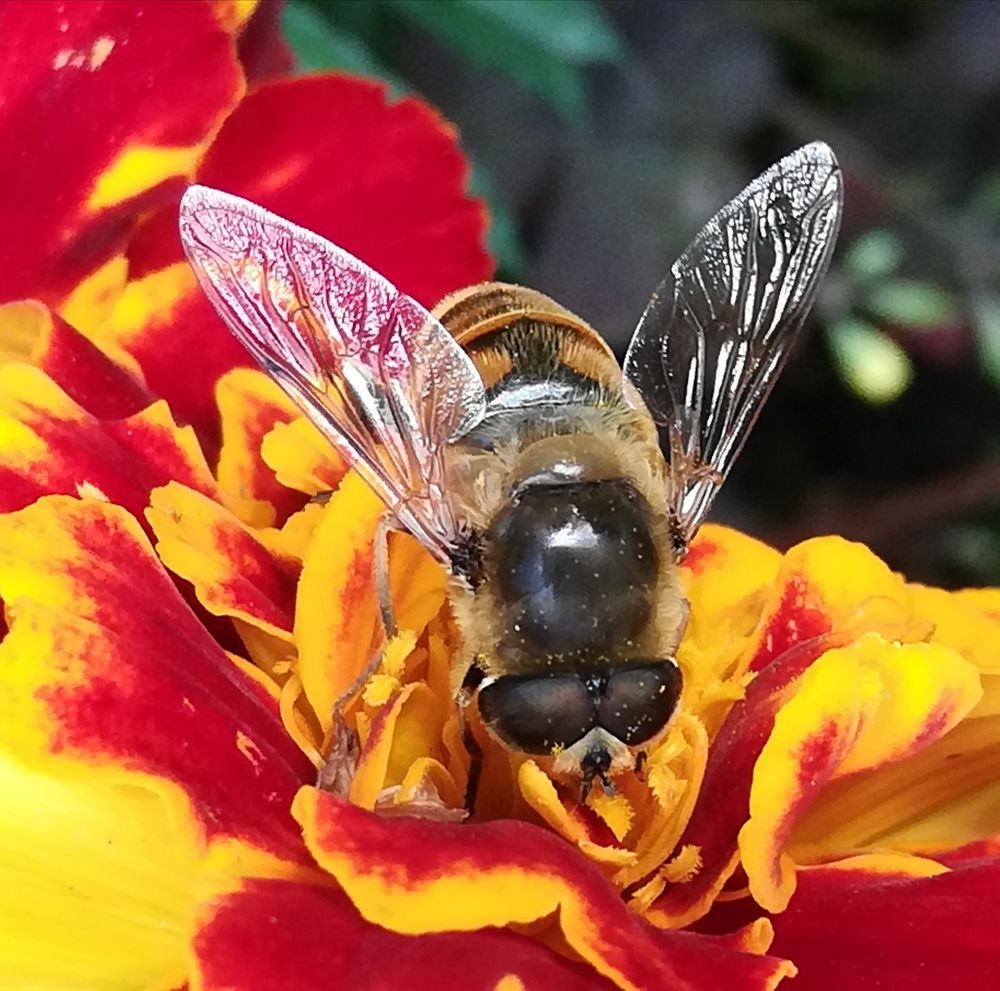 Photograph by Евгения Буркаева