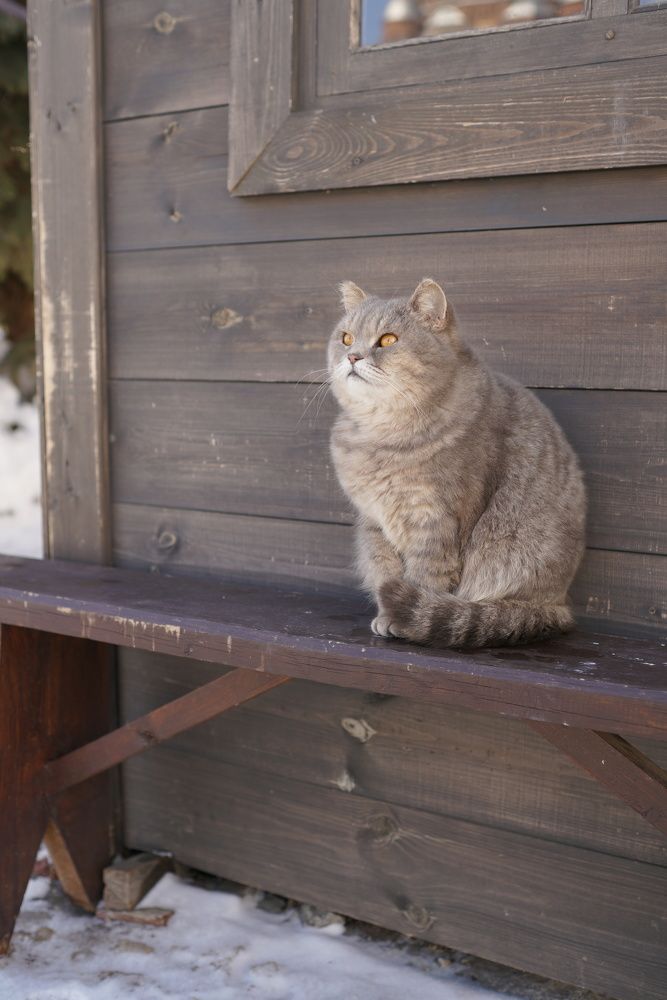 Photograph by Ольга Рачилова