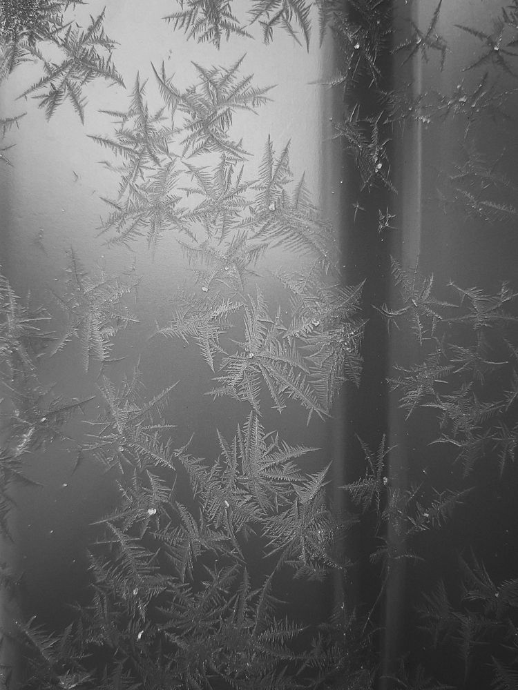 Photograph by Ригина Айдель