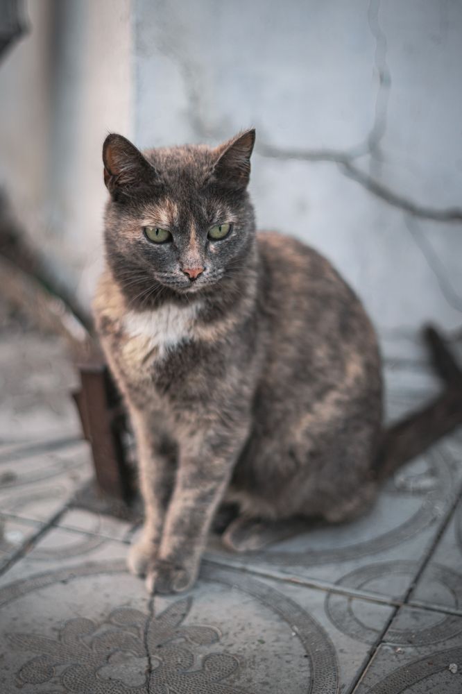 Photograph by Ольга Рачилова