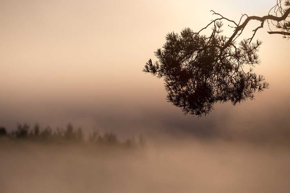 Photograph by Светлана Печенкина