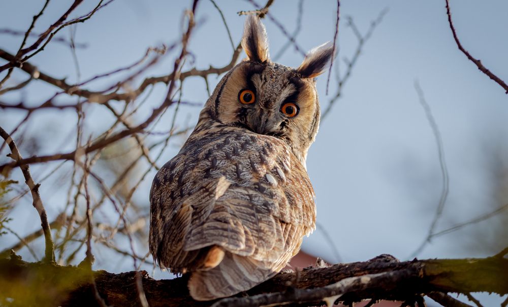 Photograph by George Alexandru Ghiuro