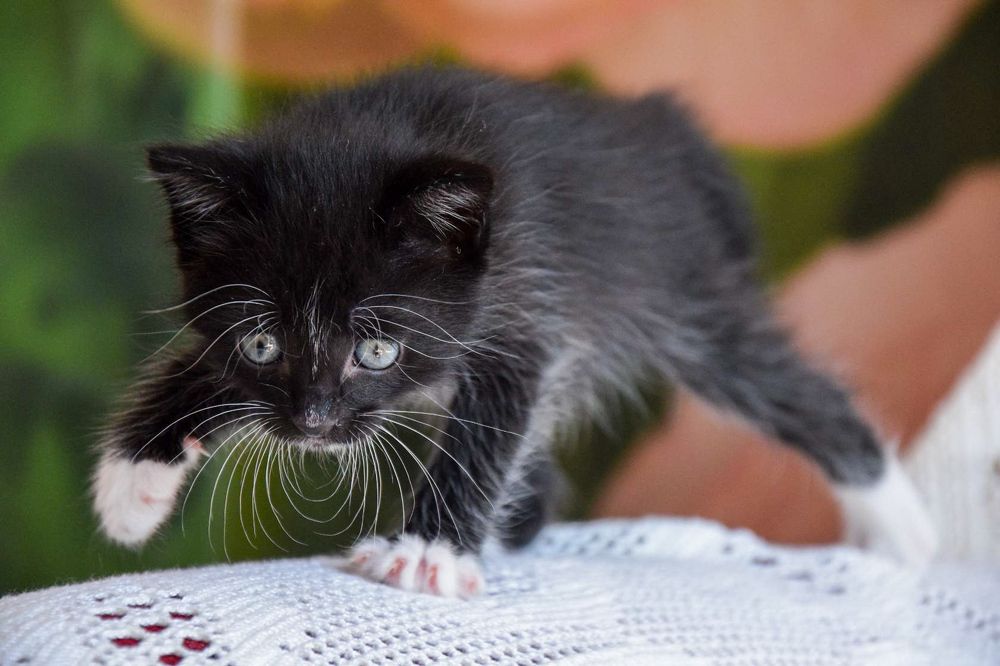 Photograph by Марина Корреа Ластра