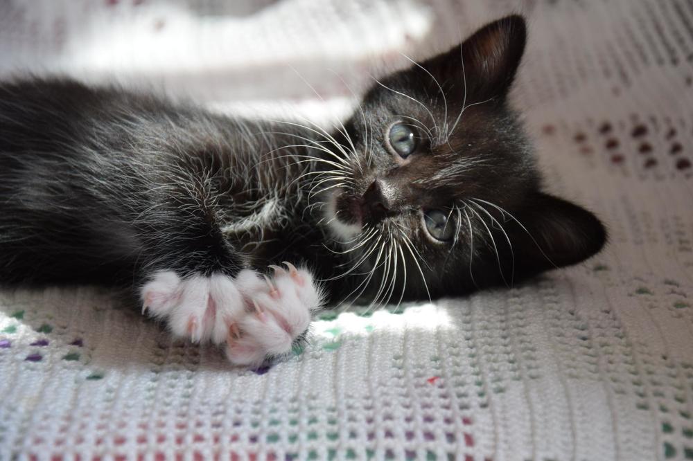 Photograph by Марина Корреа Ластра