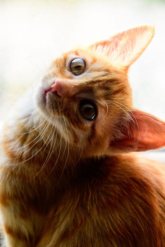 Photograph by Марина Корреа Ластра