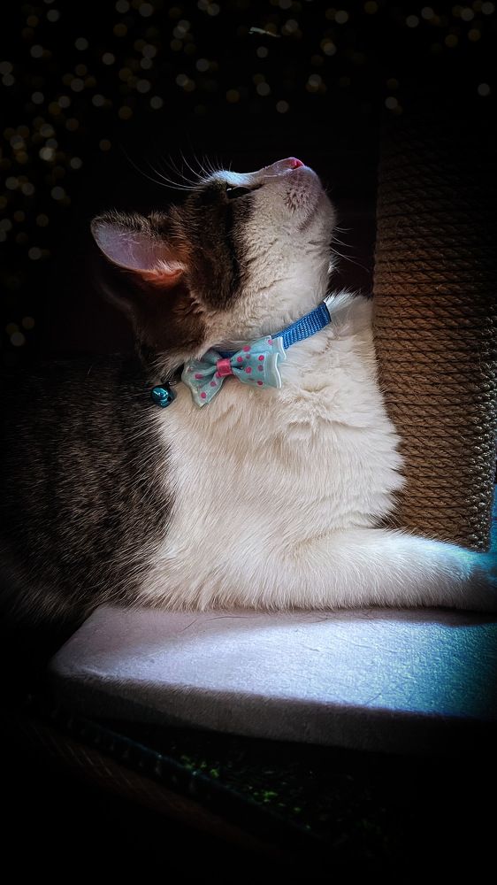 Photograph by Людмила Лукьяненко