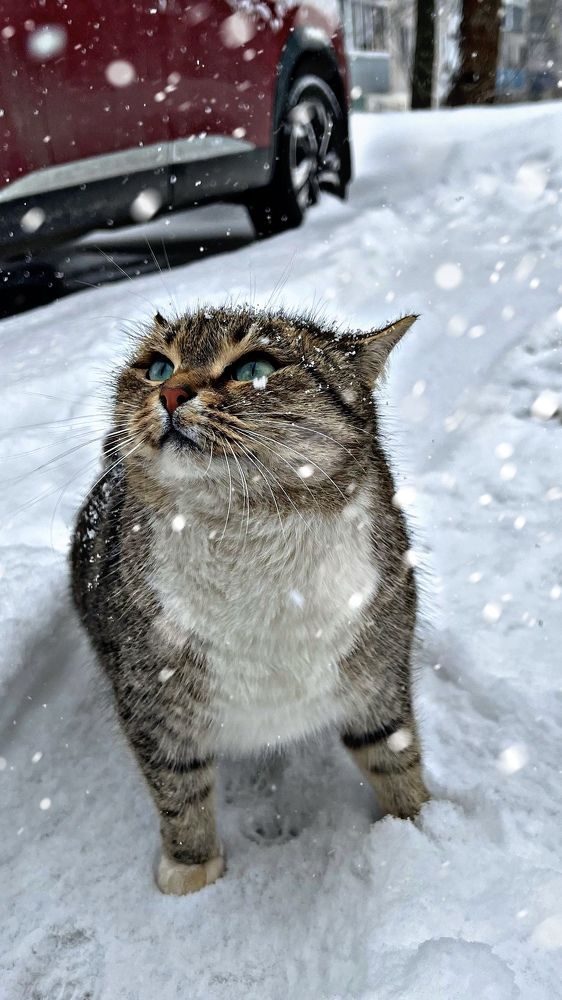 Photograph by Людмила Лукьяненко