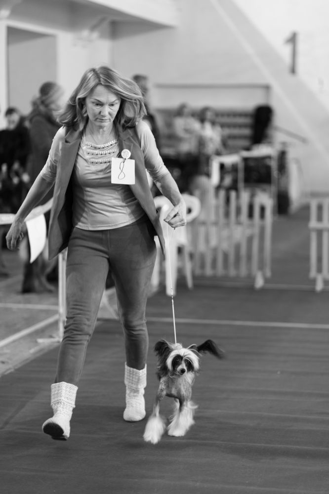 Photograph by Полианна Напара