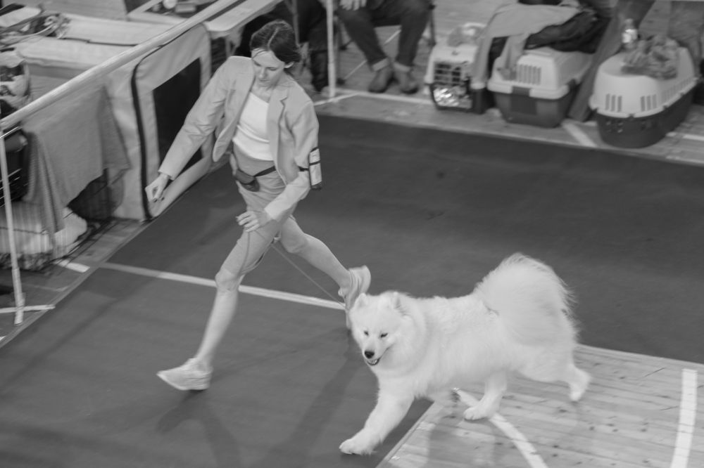 Photograph by Полианна Напара