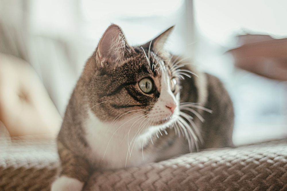 Photograph by Алексей Мариев