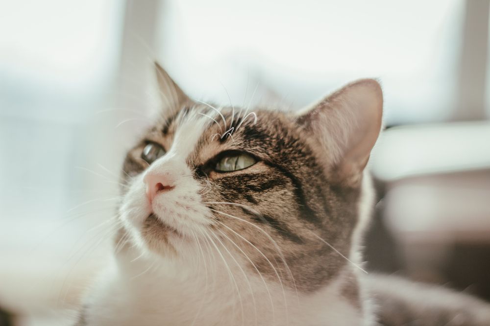 Photograph by Алексей Мариев