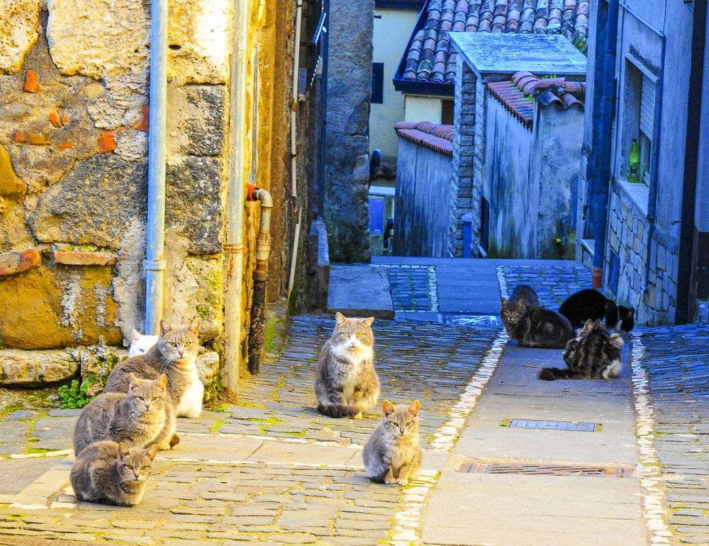 Photograph by Алексей Шаскольский