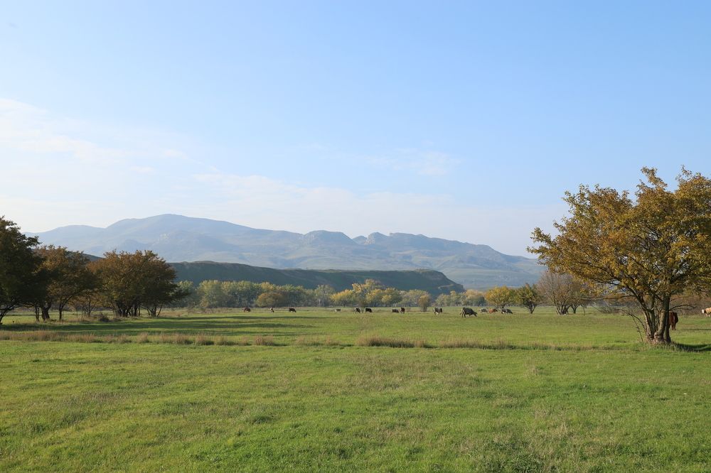 Photograph by Оксана Соколова