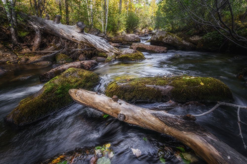 Photograph by Владимир Климов