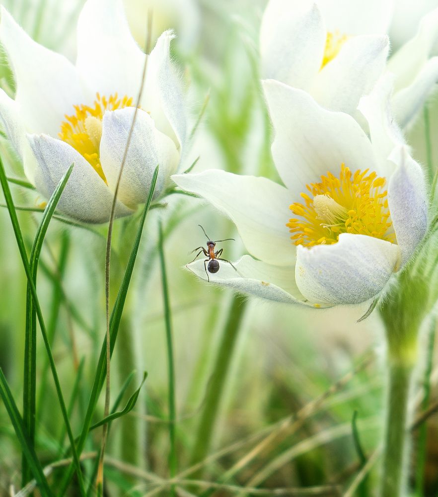 Photograph by Александр Соколов