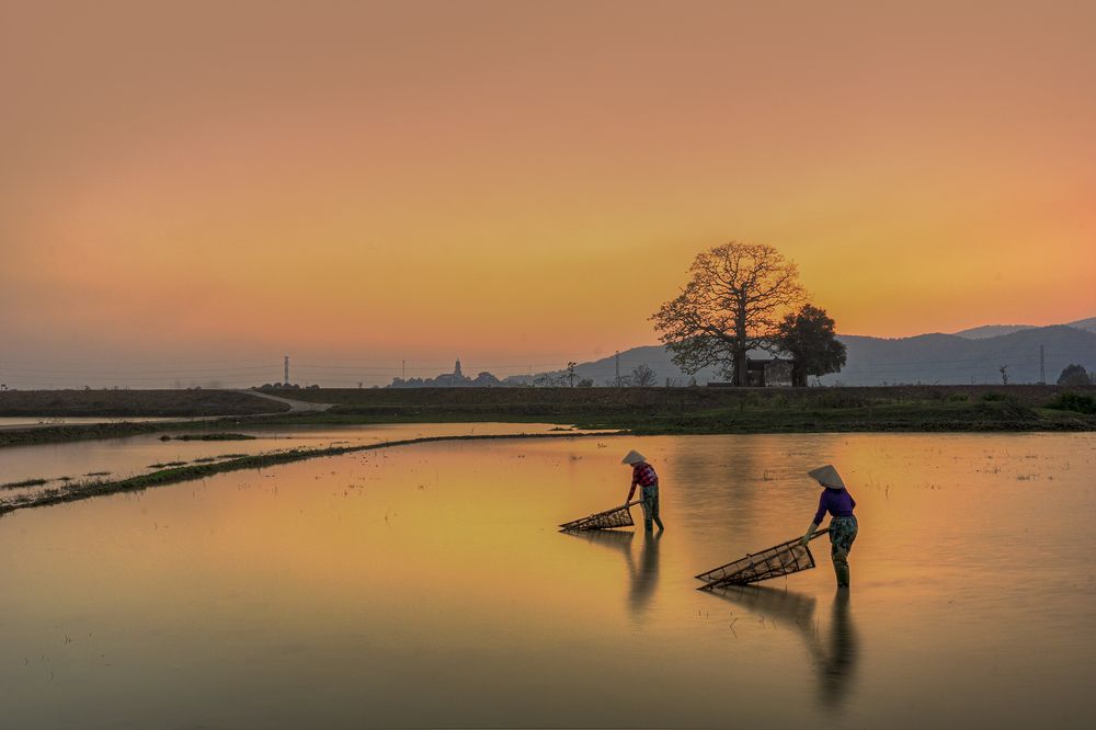 Photograph by mai loc