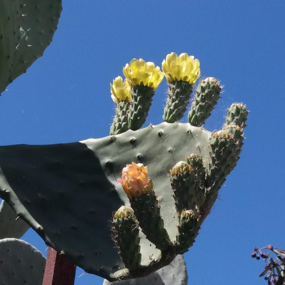 Photograph by WANDA OZIERANSKA