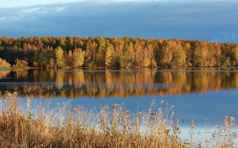 Фотография автора Nelya  Lysenko