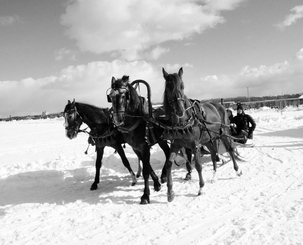 Photograph by Пётр Артемьев