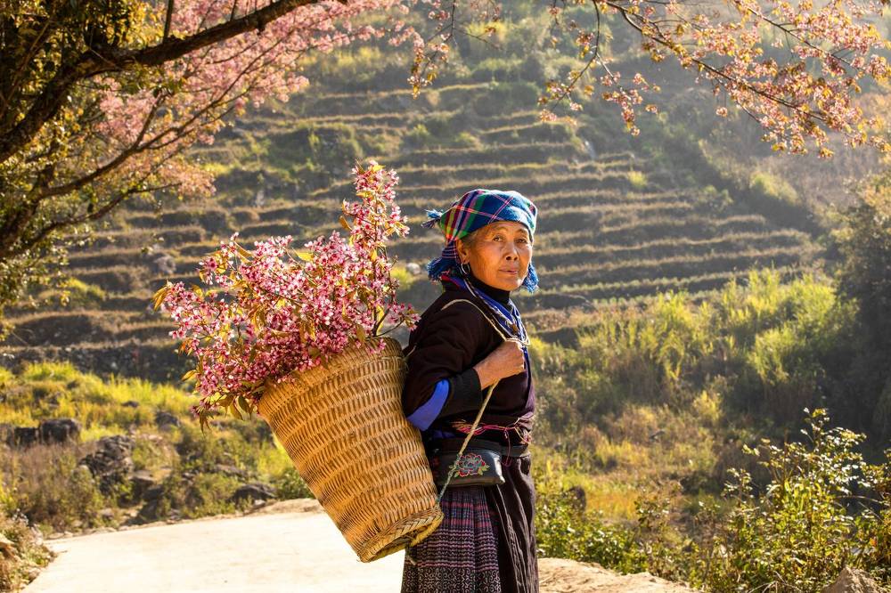 H'Mong ethnic people in La Pan Tan village welcome spring on the top of the mountain