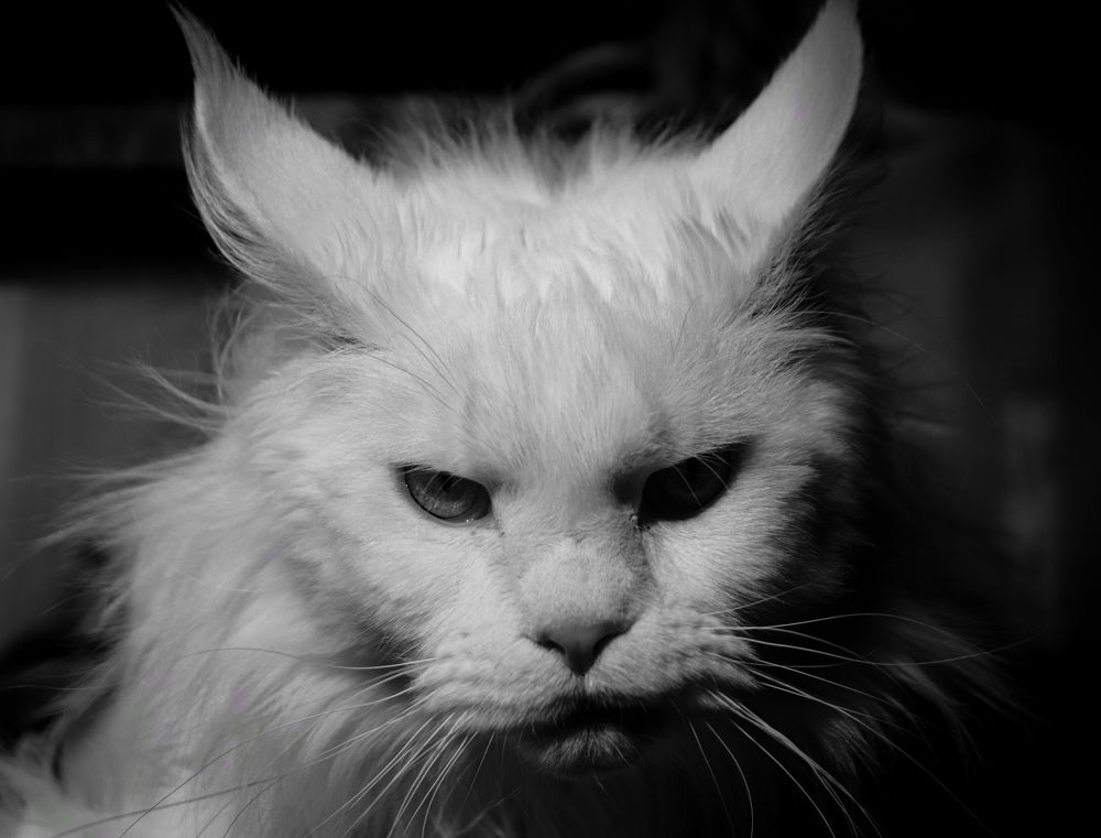 Photograph by Ирина Шевченко
