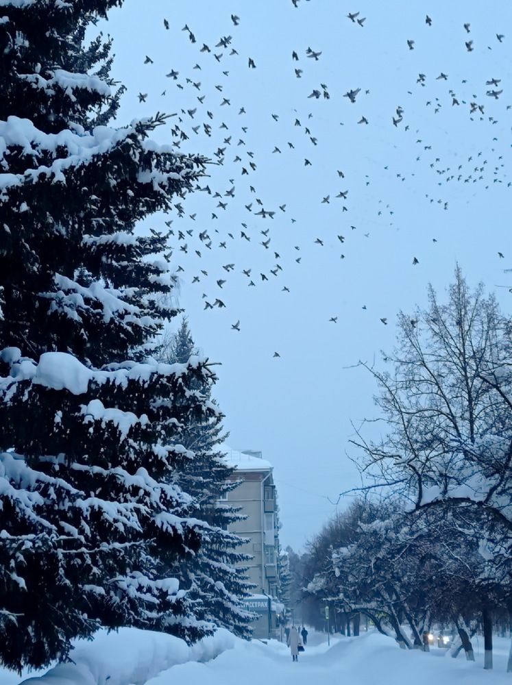 Photograph by НИНА АВЕРЬЯНОВА