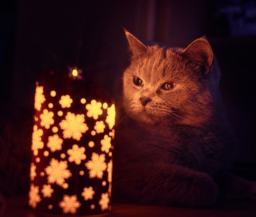 Photograph by  Nick Den