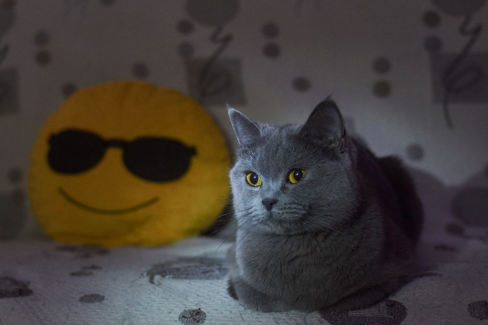 Photograph by  Nick Den