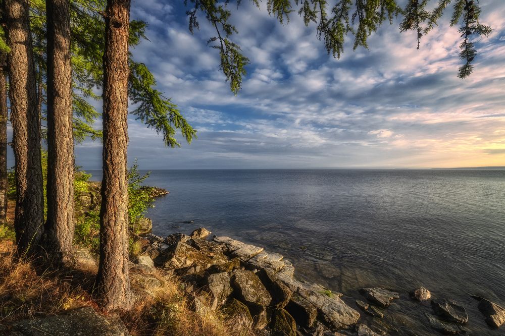 Photograph by Владимир Климов