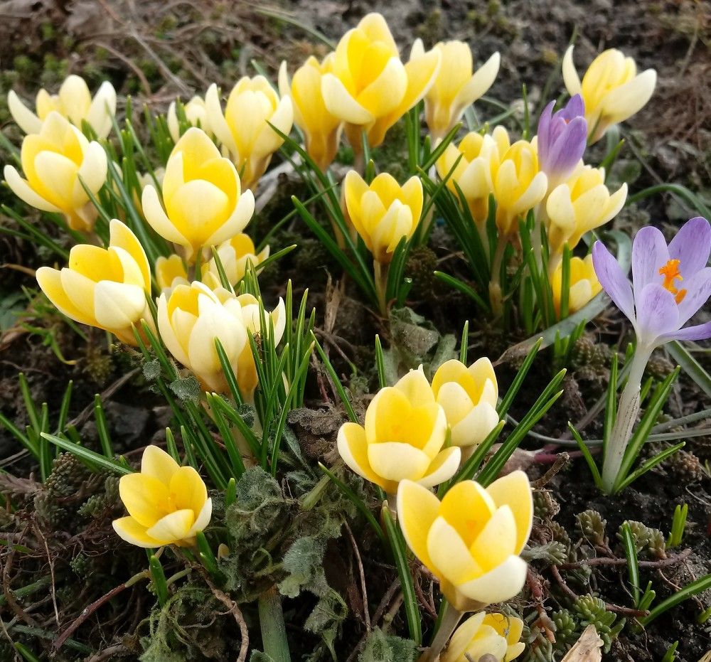 Photograph by Оксана