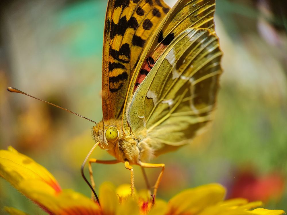 Photograph by Дина Горбачёва