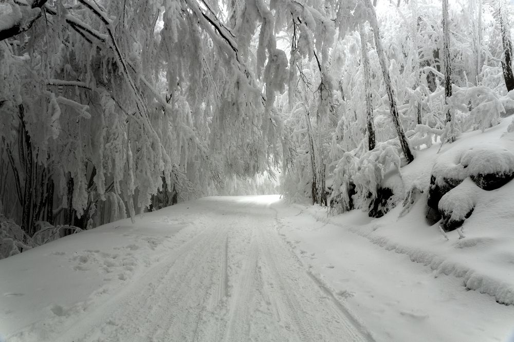 Photograph by Димитър Димитров