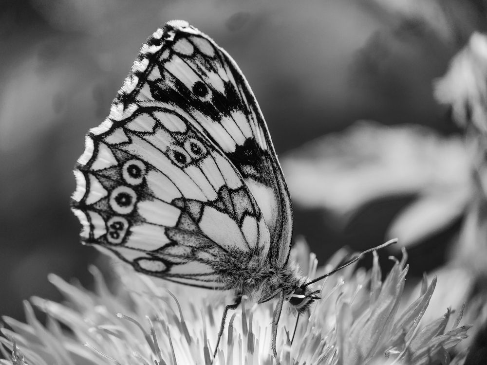 Photograph by Дина Горбачёва