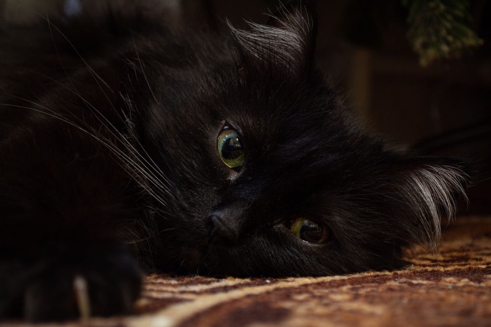 Photograph by Vladislav Yakushev