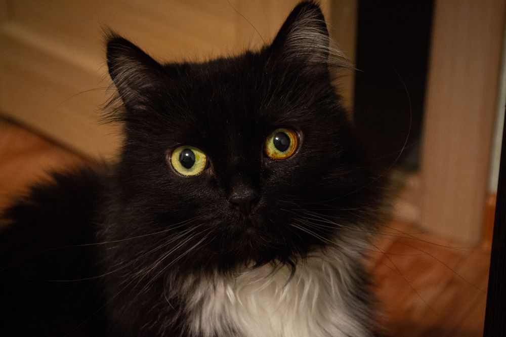 Photograph by Vladislav Yakushev