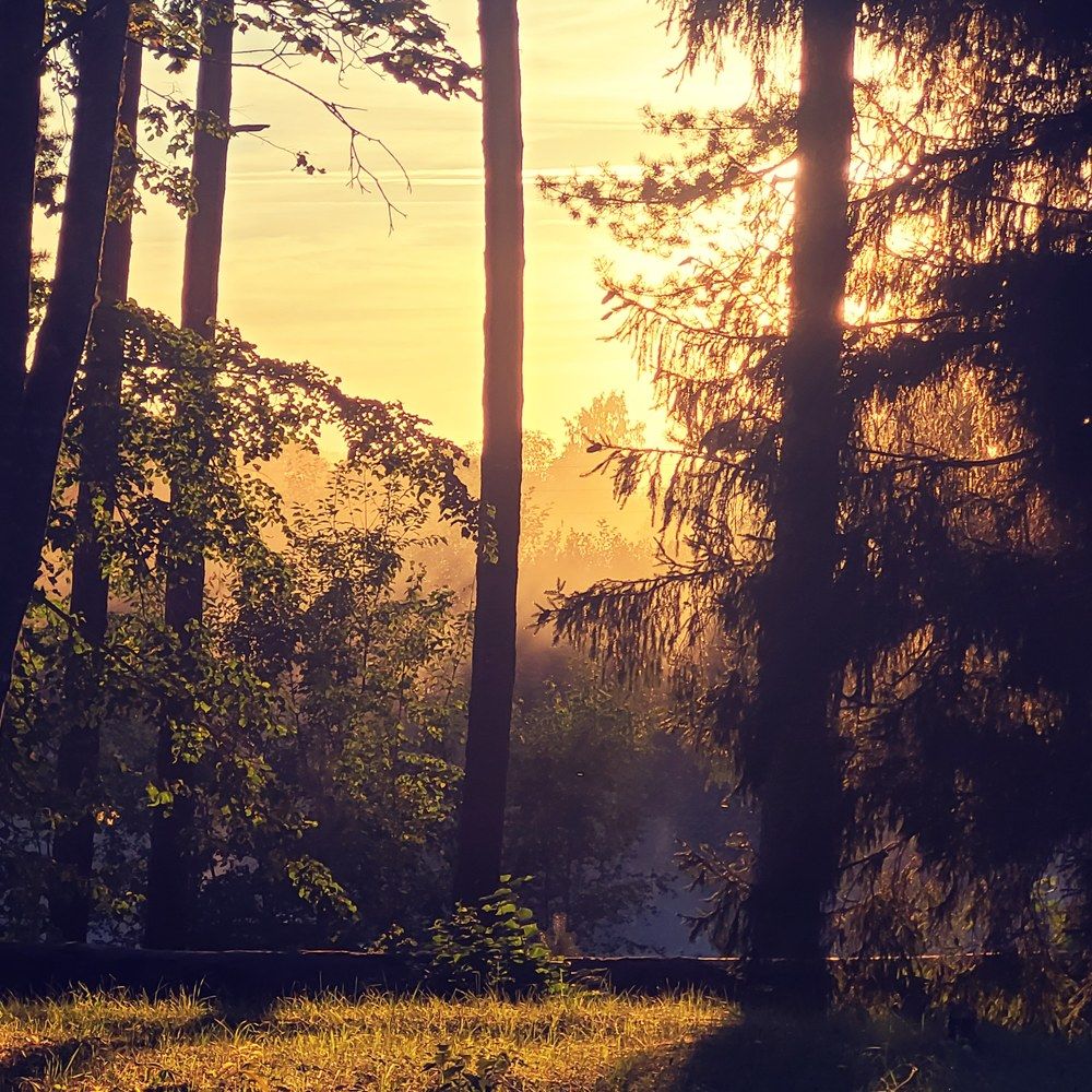 Photograph by Egita Bebrite