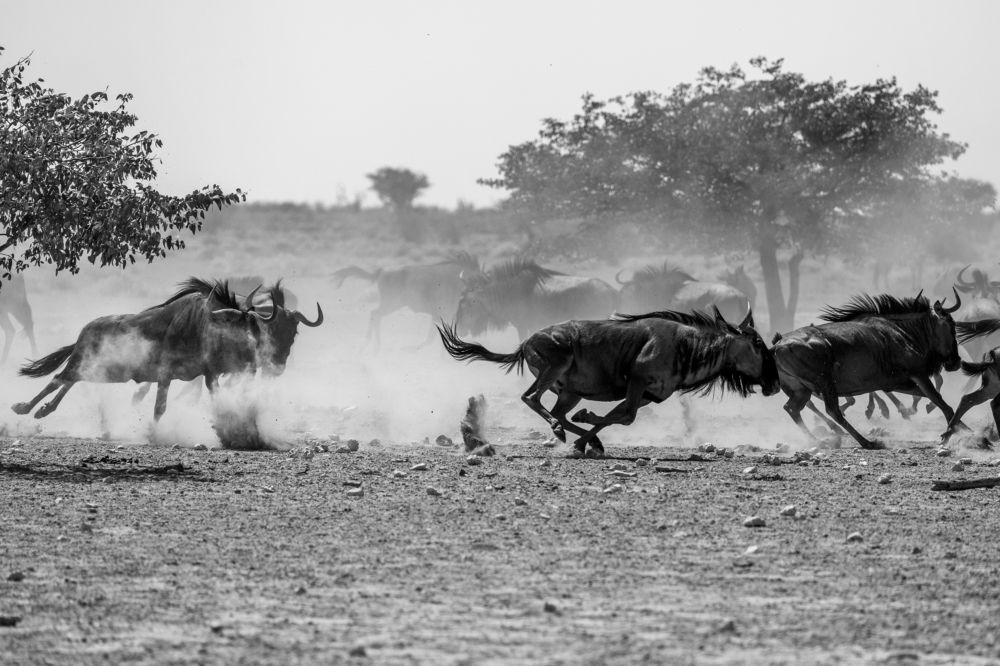 Photograph by Rémi Vacher
