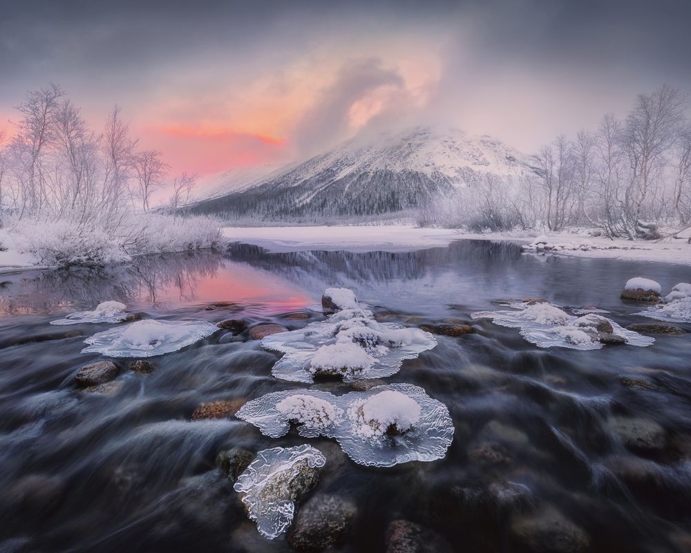 Фотография автора Dmitry Medyancev