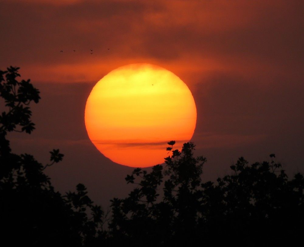 Photograph by ANISH BISWAS