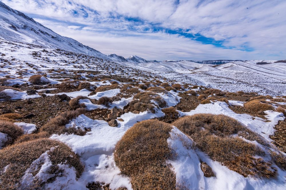 Photograph by HOUSSAIN TORK