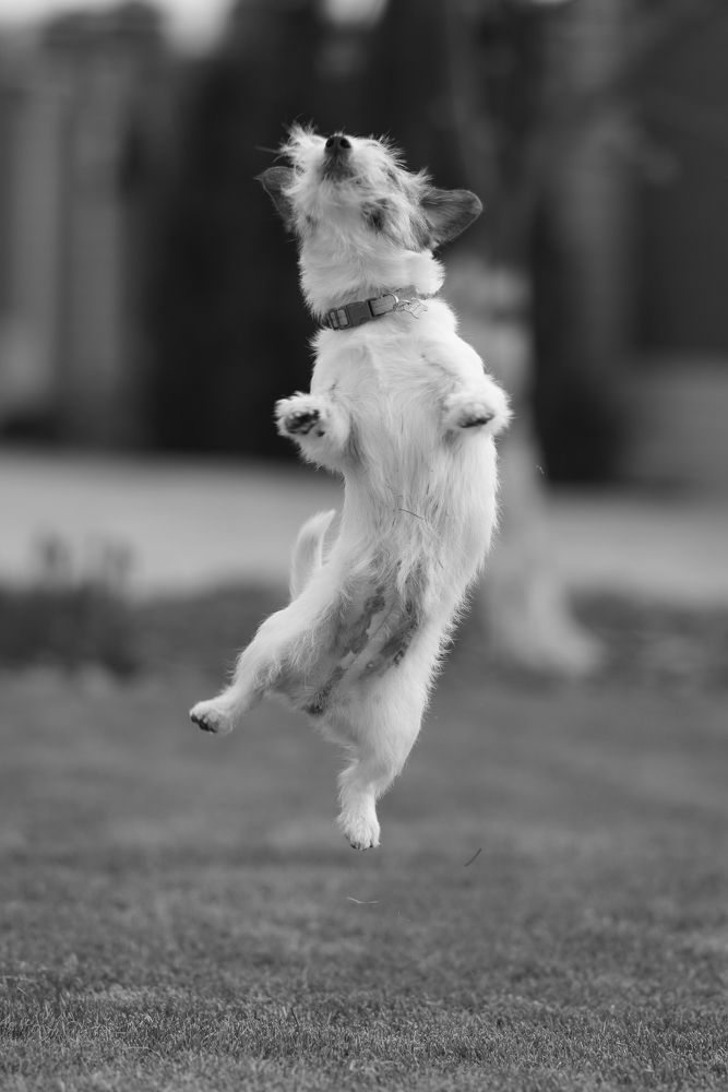 Photograph by Ольга Рачилова