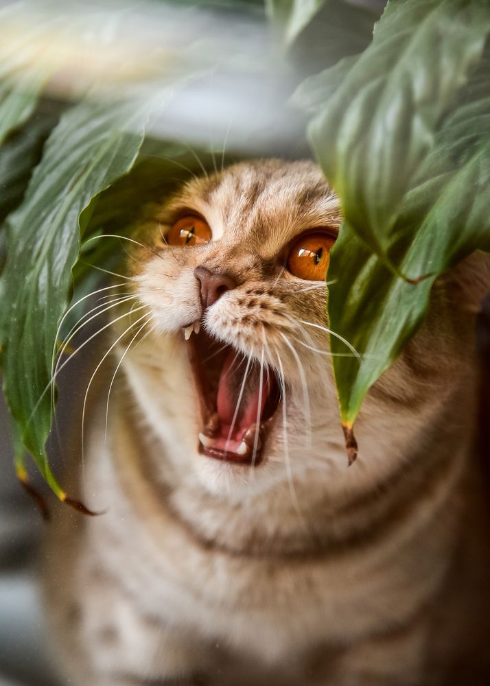 Photograph by Наталья Темная