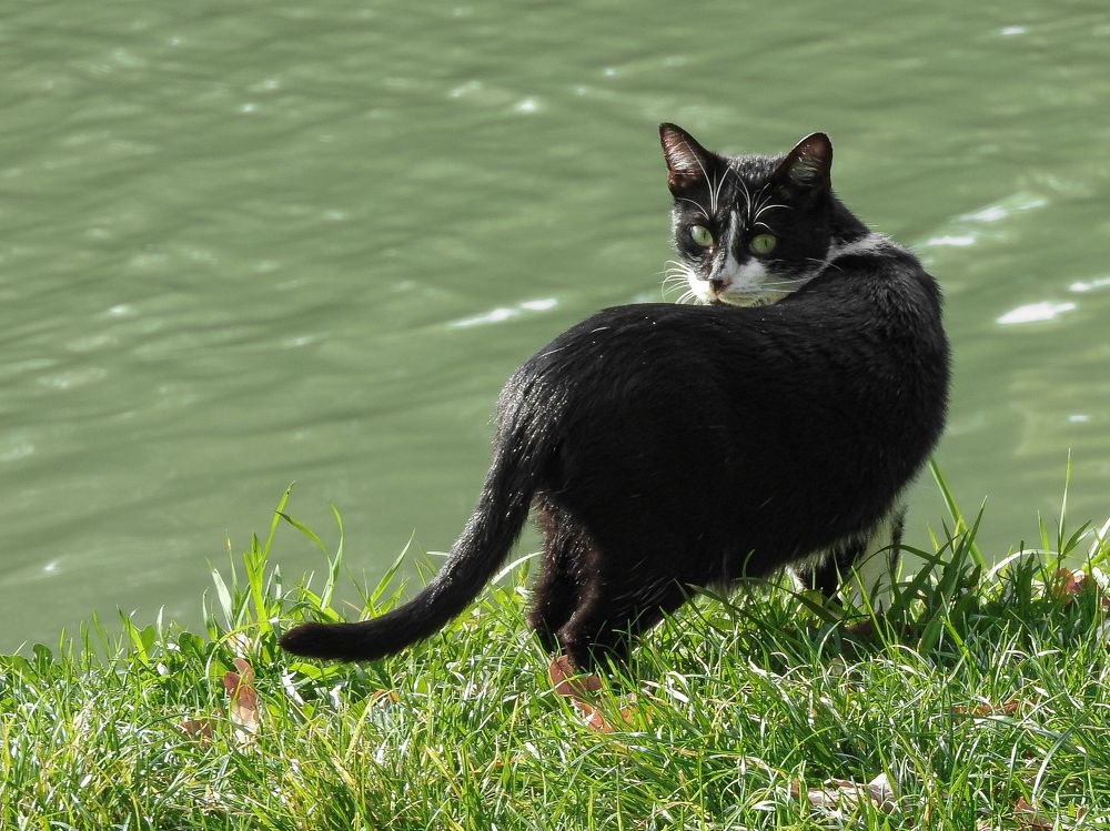 Photograph by Надежда Алешечкина