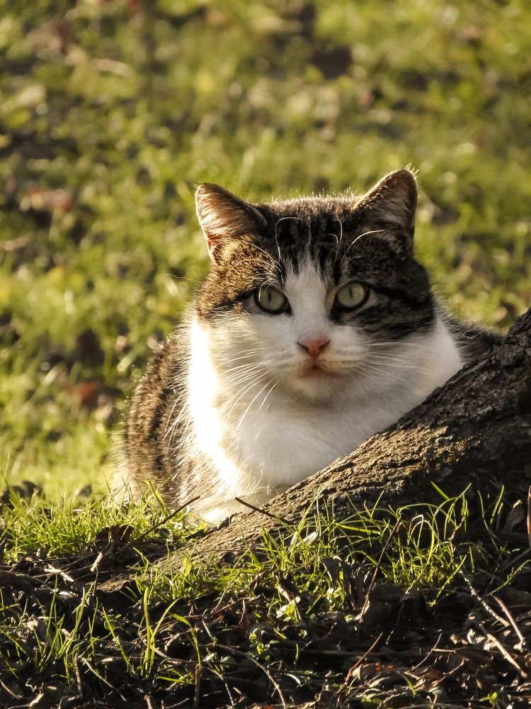 Photograph by Надежда Алешечкина